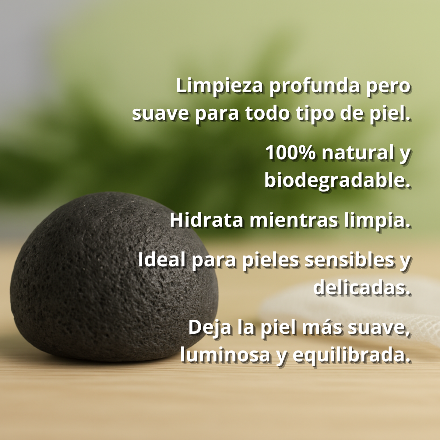 🖤 Pack Konjac + Alumbre Carbón Activo HBM - Detox y Protección